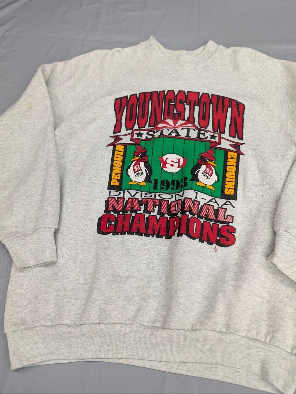 Youngstown St Penguins 1993 Champs Sweatshirt XL Vintage